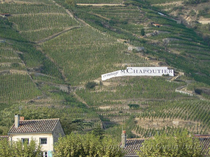 Hermitage vineyards from Tournon-sur-Rhône P1130969.JPG